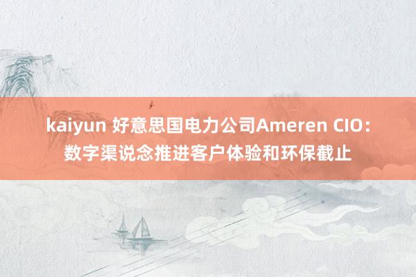 kaiyun 好意思国电力公司Ameren CIO：数字渠说念推进客户体验和环保截止