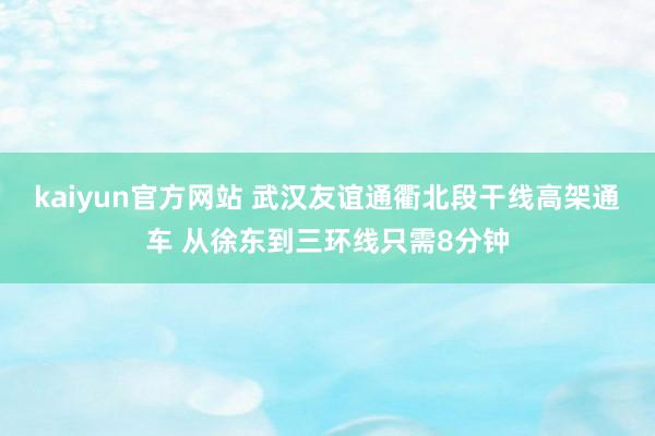 kaiyun官方网站 武汉友谊通衢北段干线高架通车 从徐东到三环线只需8分钟