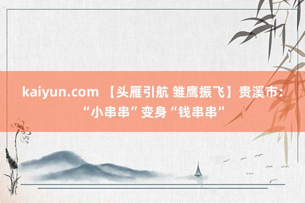 kaiyun.com 【头雁引航 雏鹰振飞】贵溪市：“小串串”变身“钱串串”