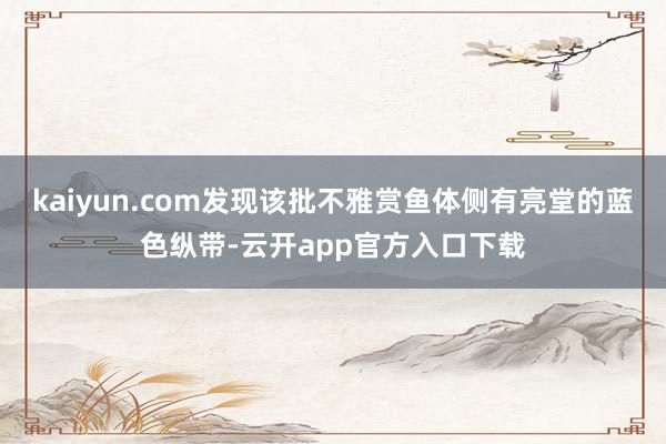 kaiyun.com发现该批不雅赏鱼体侧有亮堂的蓝色纵带-云开app官方入口下载