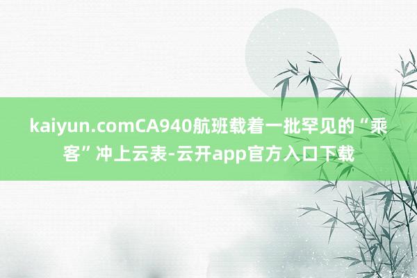 kaiyun.comCA940航班载着一批罕见的“乘客”冲上云表-云开app官方入口下载